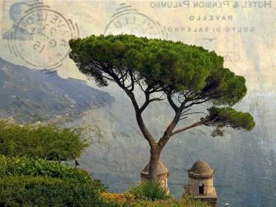 Umbrella Pine Jigsaw Puzzle