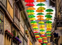 Umbrella Street