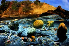 Under the Surf