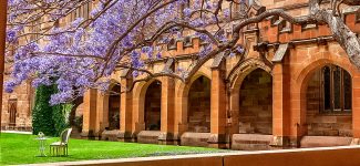 University Courtyard