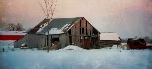 Unpainted Barn Jigsaw Puzzle