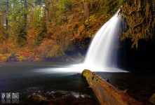 Upper Butte Creek Falls