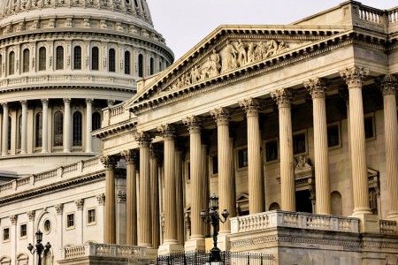 US Capitol Jigsaw Puzzle