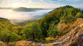 Valley of Fog