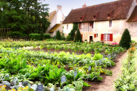 Vegetable Garden Jigsaw Puzzle