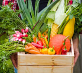 Veggie Crate