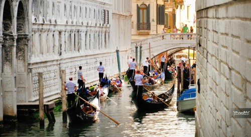 Venice Traffic Jigsaw Puzzle