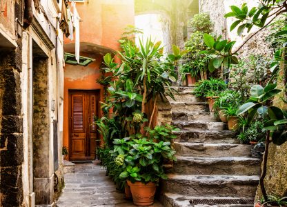 Vernazza Steps Jigsaw Puzzle