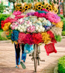 Vietnam Street Flowers Jigsaw Puzzle