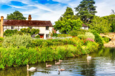 Village Swans Jigsaw Puzzle