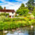 Village Swans Jigsaw Puzzle