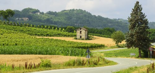 Vineyard and Barn Jigsaw Puzzle