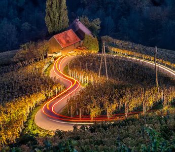 Vineyard at Night Jigsaw Puzzle