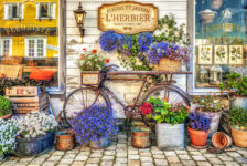 Vintage Flower Shop