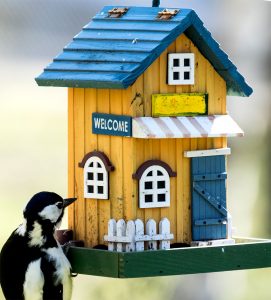 Visiting Woodpecker Jigsaw Puzzle