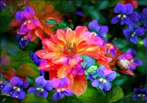 Vivid Flowers