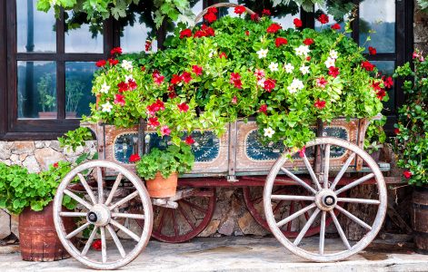 Wagon Garden Jigsaw Puzzle