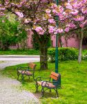 Waiting Benches