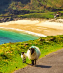 Walk by the Beach