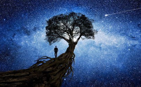 Walking to the Stars Jigsaw Puzzle