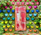 Wall Garden