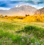 Wasatch Mountains