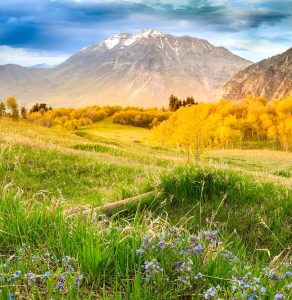 Wasatch Mountains Jigsaw Puzzle