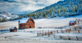 Washington Barn