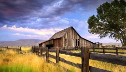 Washoe Valley Barn