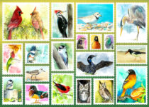 Watercolor Bird Collage Jigsaw Puzzle