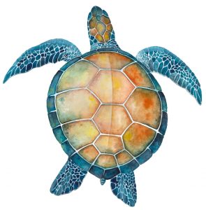 Watercolor Turtle Jigsaw Puzzle