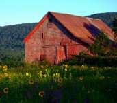 Weathered Barn