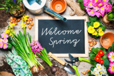 Welcome Spring