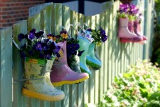 Welly Planters