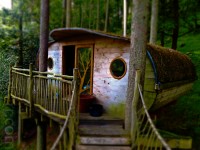 Welsh Treehouse