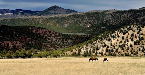 Western Scene Jigsaw Puzzle