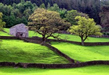 Wharfedale Barn