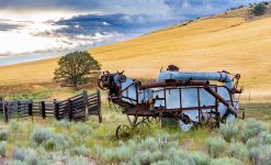 Wheat Combine