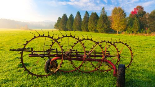 Wheel Rake Jigsaw Puzzle