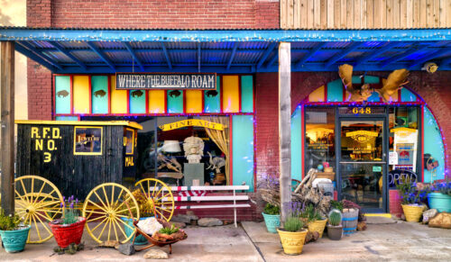 Where the Buffalo Roam Jigsaw Puzzle