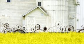 Whimsical Fence