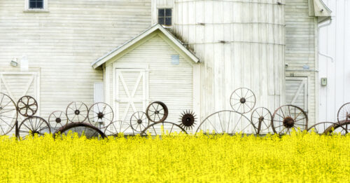 Whimsical Fence Jigsaw Puzzle