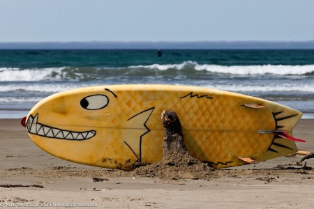 Whimsical Surfboard Jigsaw Puzzle