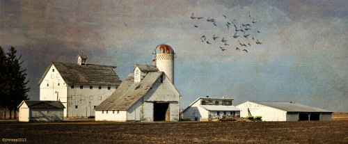 White Farm Jigsaw Puzzle