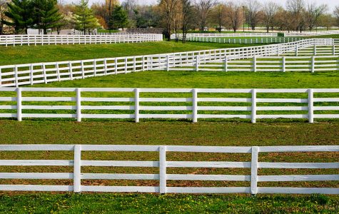 White Fences Jigsaw Puzzle