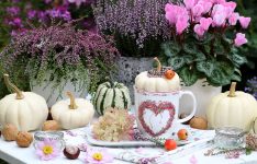 White Pumpkins