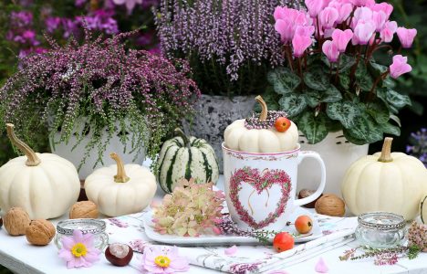 White Pumpkins Jigsaw Puzzle