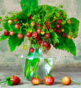 Wild Strawberries Jigsaw Puzzle