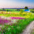 Wildflower Meadow Jigsaw Puzzle