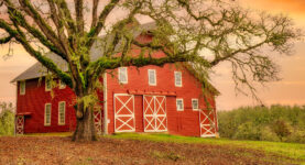 Willamette Valley Barn